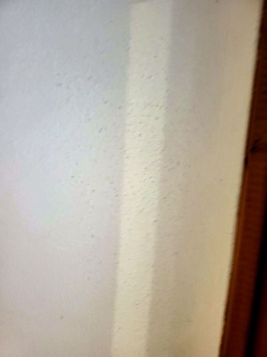 Après — Appartement parisien