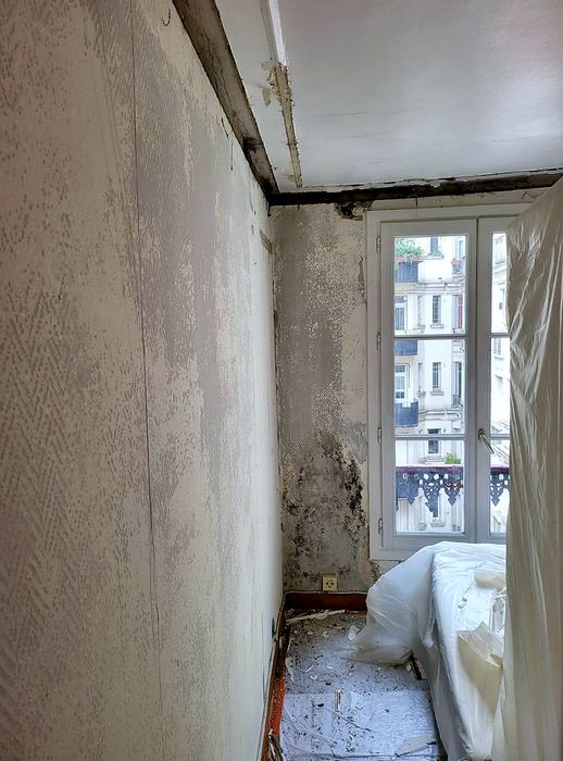 Avant — Appartement parisien