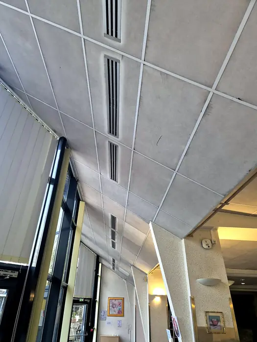 Faux plafonds — pendant les travaux, photo 2 sur 45