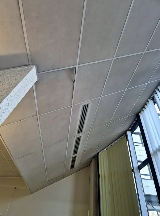 Faux plafonds — pendant les travaux, photo 3 sur 45
