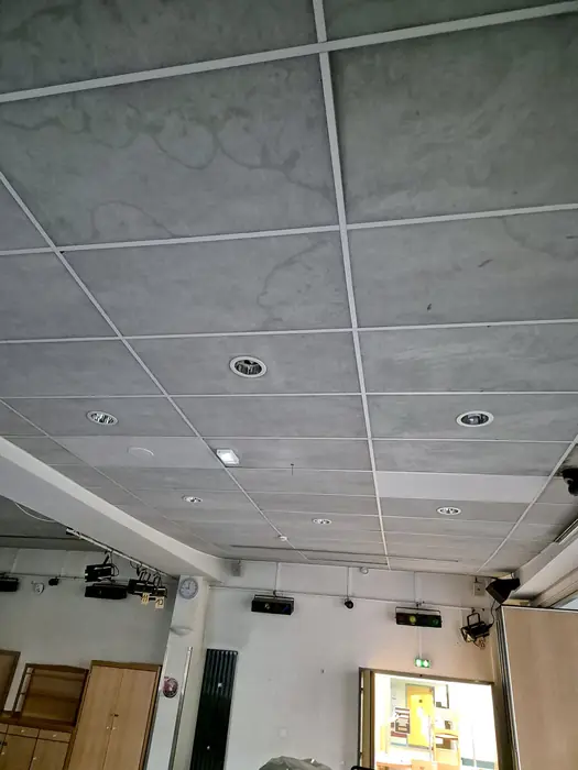 Faux plafonds — pendant les travaux, photo 6 sur 45