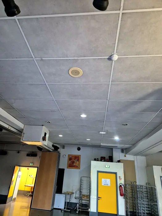 Faux plafonds — pendant les travaux, photo 7 sur 45