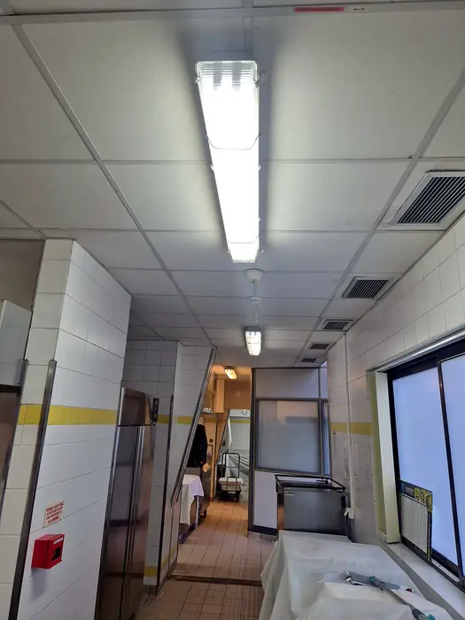 Faux plafonds — pendant les travaux, photo 10 sur 45