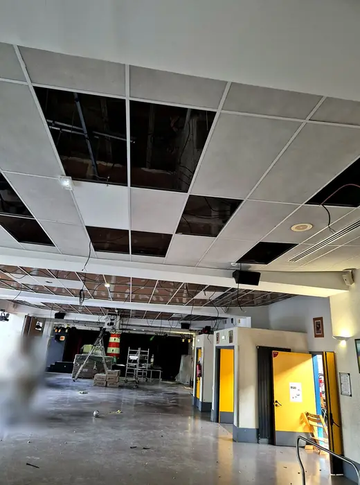Faux plafonds — pendant les travaux, photo 14 sur 45