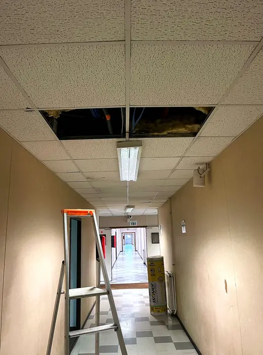 Faux plafonds — pendant les travaux, photo 19 sur 45