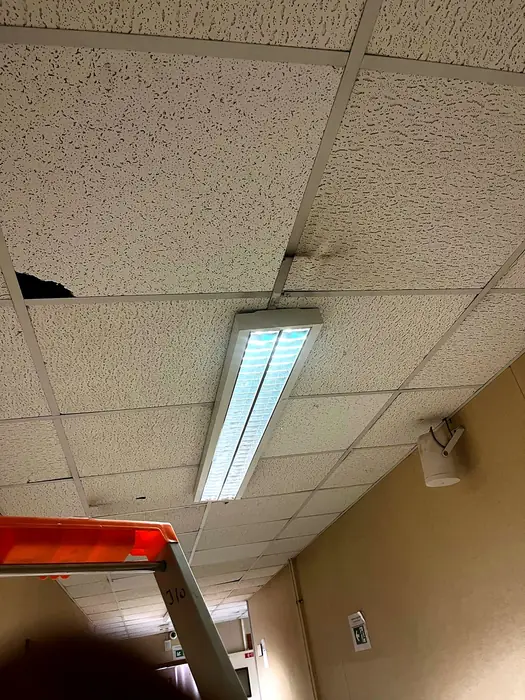 Faux plafonds — pendant les travaux, photo 20 sur 45
