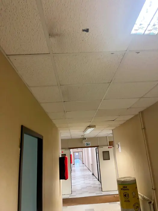 Faux plafonds — pendant les travaux, photo 21 sur 45