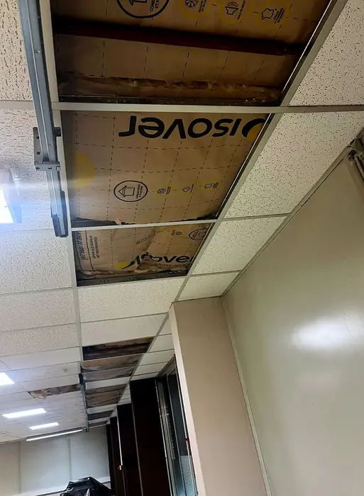 Faux plafonds — pendant les travaux, photo 27 sur 45