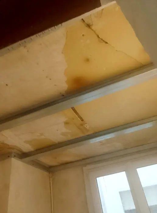 Plâtrerie et cloisons — pendant les travaux, photo 21 sur 38